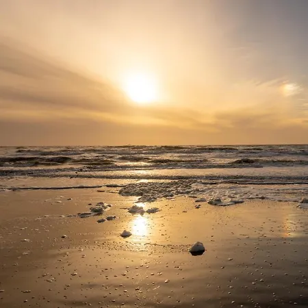 Meertje 81 Op Recreatiepark De Wielen Ferienhaus *