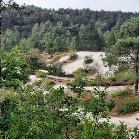 Meertje 81 Op Recreatiepark De Wielen * סנט מארטן