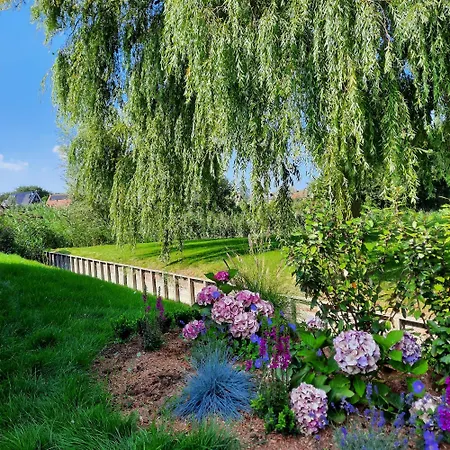 Meertje 81 Op Recreatiepark De Wielen Sint Maarten