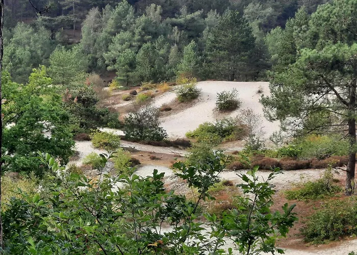 Meertje 81 Op Recreatiepark De Wielen * Άγιος Μαρτίνος